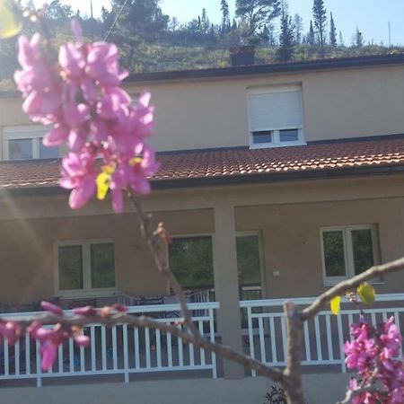 Apartment Marta Čapljina Buitenkant foto